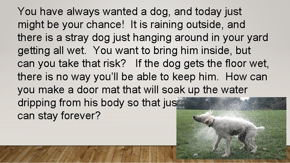 You have always wanted a dog, and today just might be your chance! It