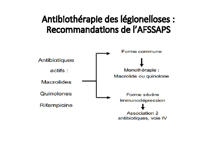 Antibiothérapie des légionelloses : Recommandations de l’AFSSAPS 