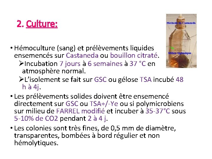 2. Culture: • Hémoculture (sang) et prélèvements liquides ensemencés sur Castaneda ou bouillon citraté.