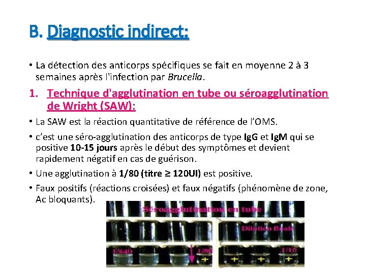 B. Diagnostic indirect: • La détection des anticorps spécifiques se fait en moyenne 2