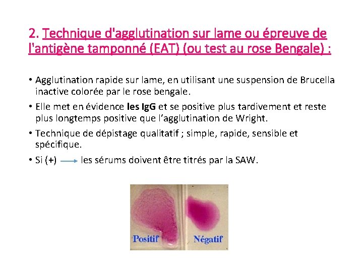 2. Technique d'agglutination sur lame ou épreuve de l'antigène tamponné (EAT) (ou test au