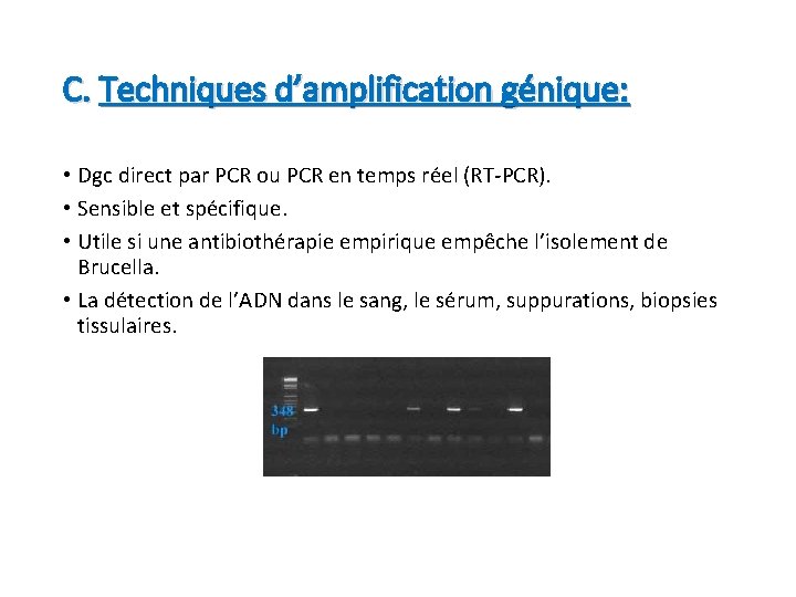 C. Techniques d’amplification génique: • Dgc direct par PCR ou PCR en temps réel