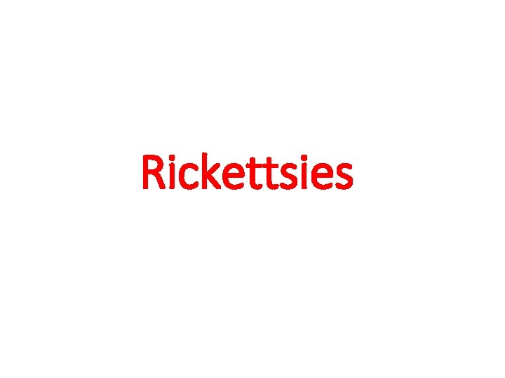Rickettsies 