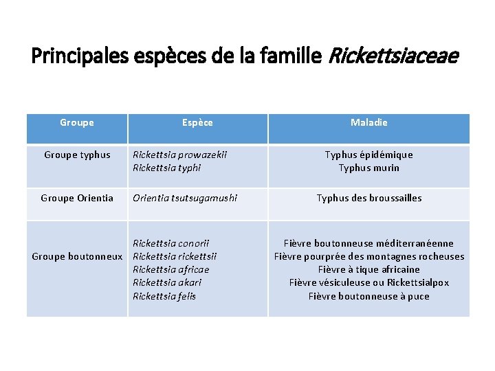 Principales espèces de la famille Rickettsiaceae Groupe Espèce Groupe typhus Rickettsia prowazekii Rickettsia typhi