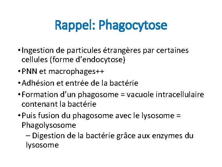 Rappel: Phagocytose • Ingestion de particules étrangères par certaines cellules (forme d’endocytose) • PNN