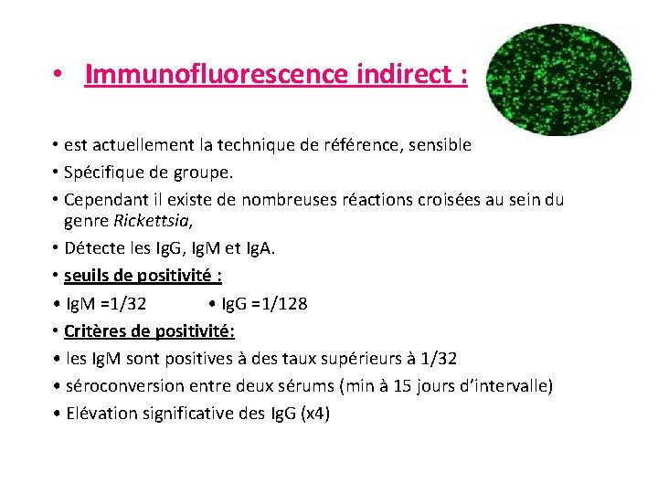  • Immunofluorescence indirect : • est actuellement la technique de référence, sensible •