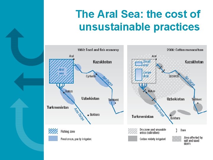 The Aral Sea: the cost of unsustainable practices 