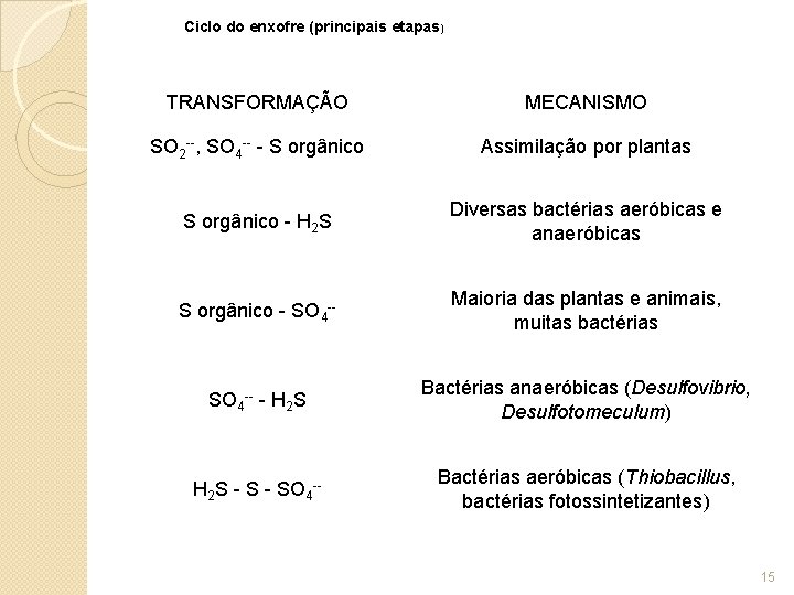 Ciclo do enxofre (principais etapas) TRANSFORMAÇÃO MECANISMO SO 2 --, SO 4 -- -