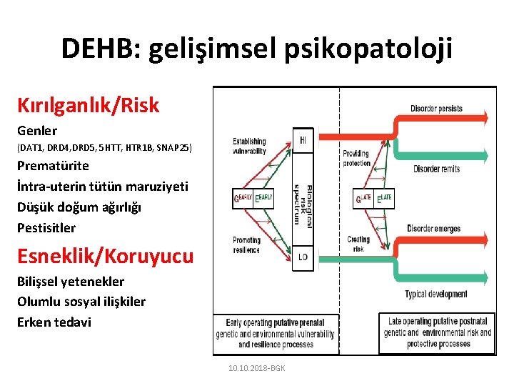 DEHB: gelişimsel psikopatoloji Kırılganlık/Risk Genler (DAT 1, DRD 4, DRD 5, 5 HTT, HTR