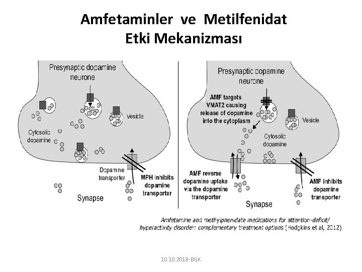 Amfetaminler ve Metilfenidat Etki Mekanizması 10. 2018 -BGK 