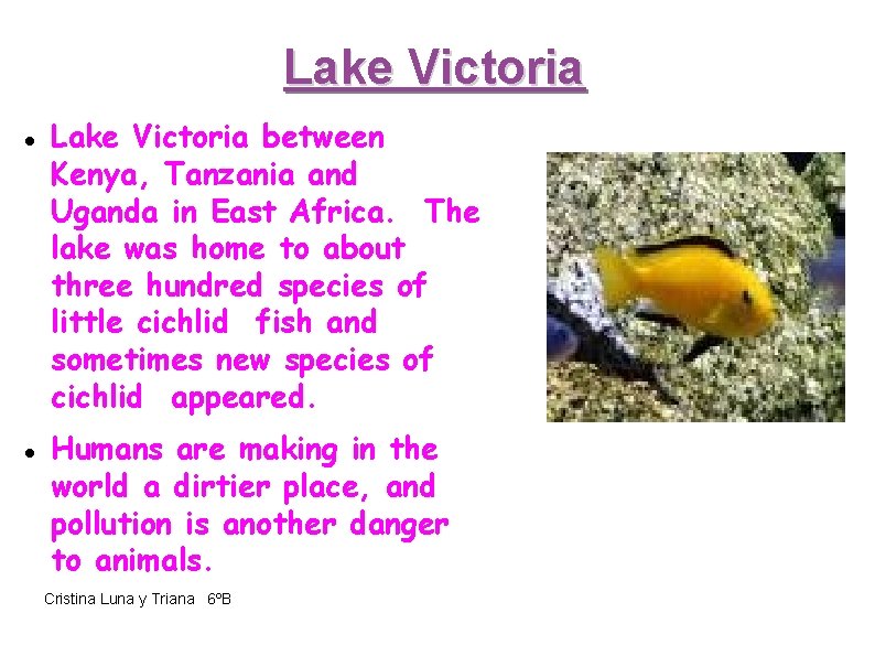 Lake Victoria between Kenya, Tanzania and Uganda in East Africa. The lake was home