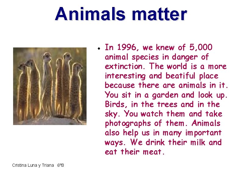Animals matter Cristina Luna y Triana 6ºB In 1996, we knew of 5, 000