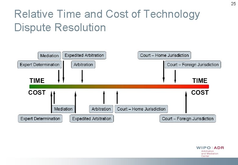 25 Relative Time and Cost of Technology Dispute Resolution 