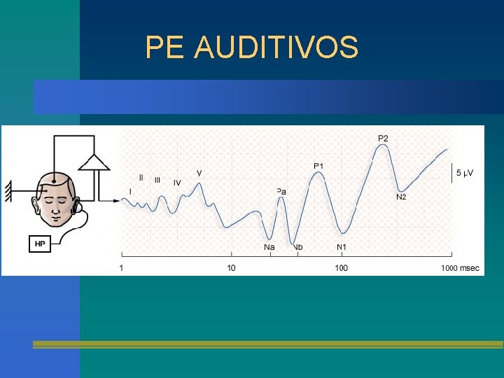 PE AUDITIVOS 