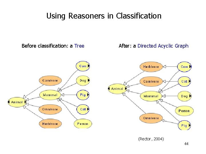 Using Reasoners in Classification Before classification: a Tree After: a Directed Acyclic Graph (Rector,