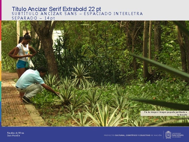 Título Ancízar Serif Extrabold 22 pt SUBTÍTULO ANCÍZAR SANS – ESPACIADO INTERLETRA SEPARADO –