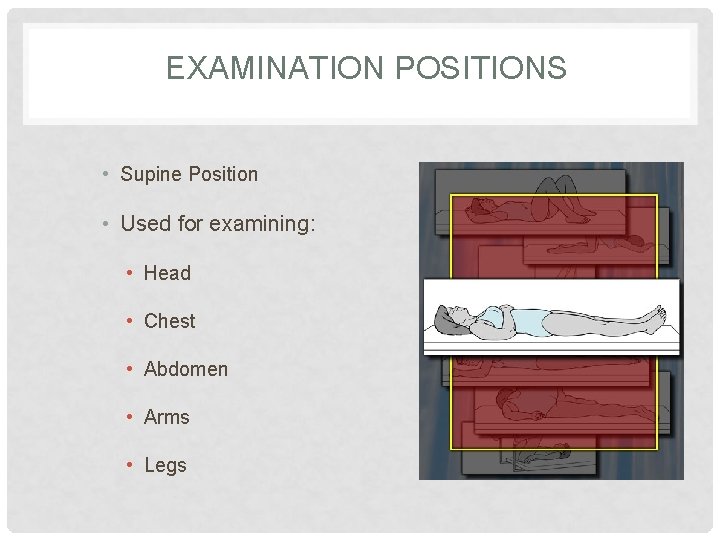 EXAMINATION POSITIONS • Supine Position • Used for examining: • Head • Chest •