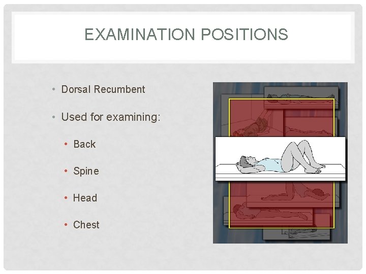 EXAMINATION POSITIONS • Dorsal Recumbent • Used for examining: • Back • Spine •