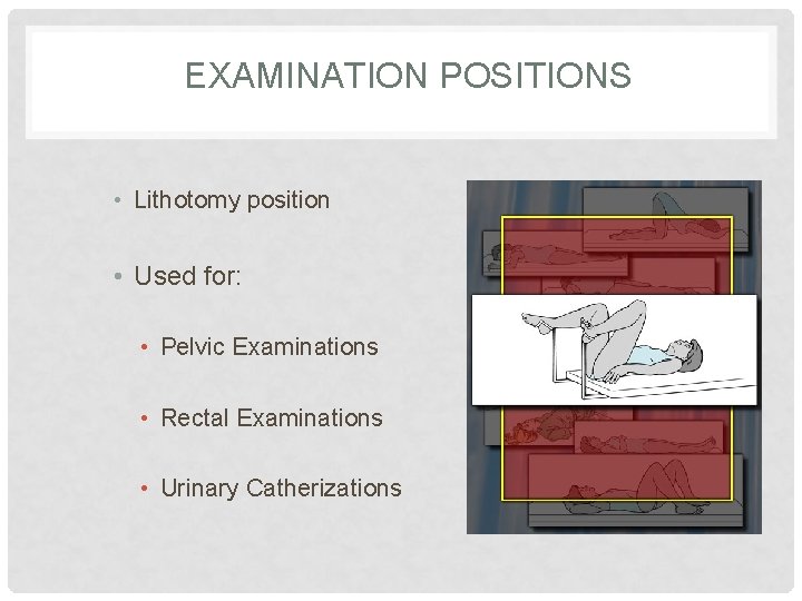 EXAMINATION POSITIONS • Lithotomy position • Used for: • Pelvic Examinations • Rectal Examinations
