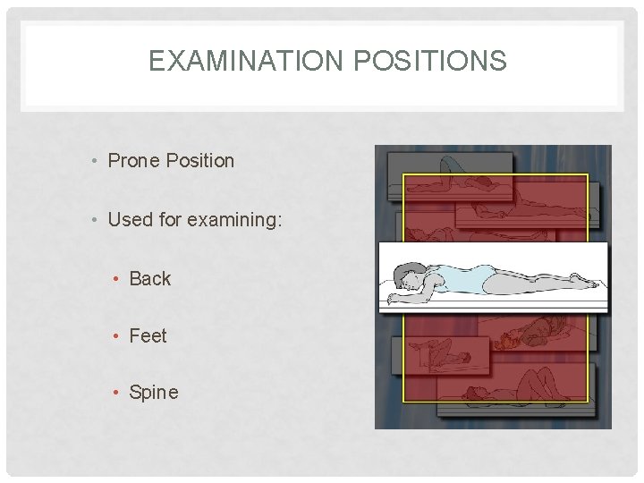 EXAMINATION POSITIONS • Prone Position • Used for examining: • Back • Feet •