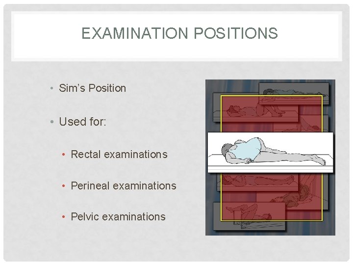 EXAMINATION POSITIONS • Sim’s Position • Used for: • Rectal examinations • Perineal examinations