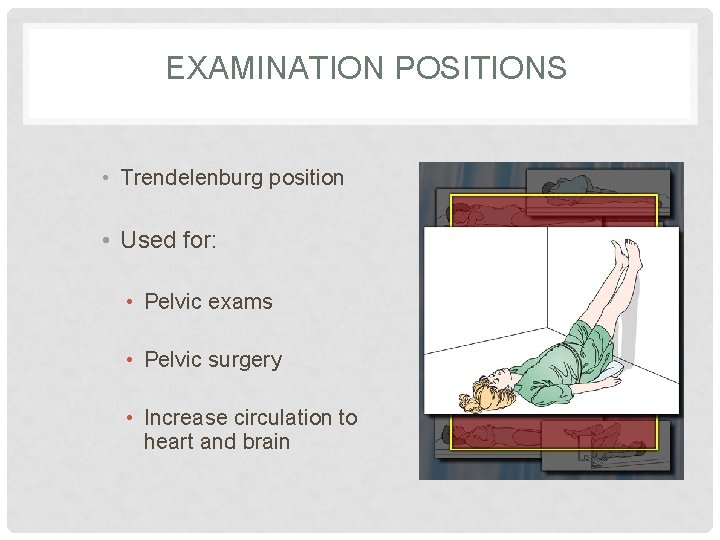 EXAMINATION POSITIONS • Trendelenburg position • Used for: • Pelvic exams • Pelvic surgery