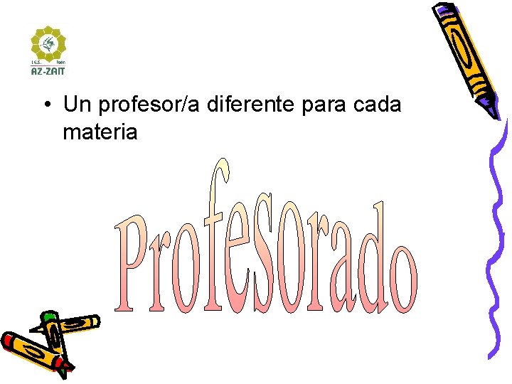  • Un profesor/a diferente para cada materia 