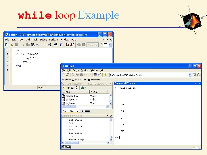 while loop Example 