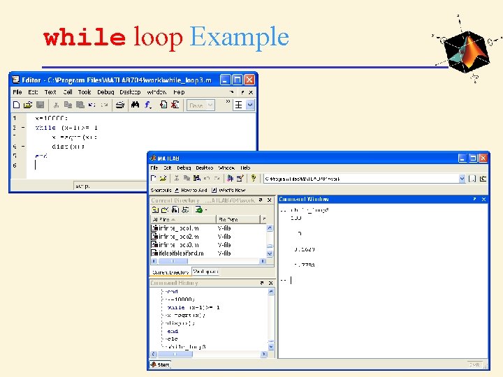 while loop Example 