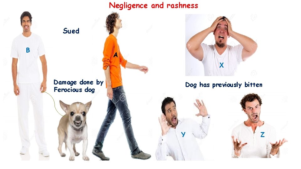 Negligence and rashness Sued B A X Damage done by Ferocious dog Dog has