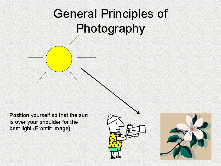 General Principles of Photography Position yourself so that the sun is over your shoulder