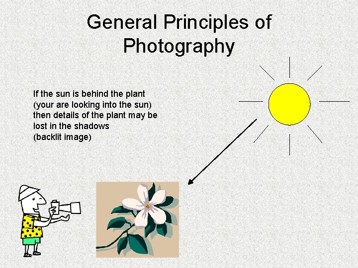 General Principles of Photography If the sun is behind the plant (your are looking