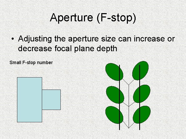 Aperture (F-stop) • Adjusting the aperture size can increase or decrease focal plane depth