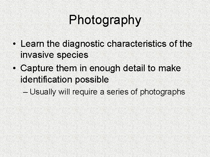 Photography • Learn the diagnostic characteristics of the invasive species • Capture them in