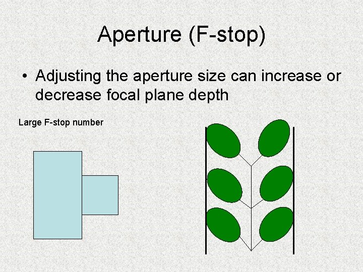 Aperture (F-stop) • Adjusting the aperture size can increase or decrease focal plane depth