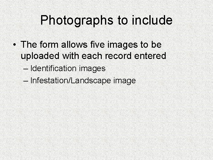 Photographs to include • The form allows five images to be uploaded with each