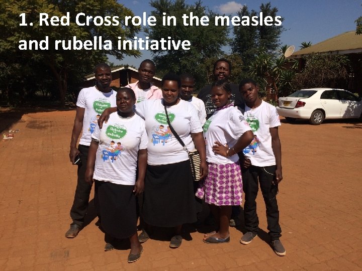 1. Red Cross role in the measles and rubella initiative 