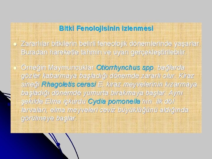 Bitki Fenolojisinin izlenmesi l Zararlılar bitkilerin belirli feneolojik dönemlerinde yaşarlar. Buradan hareketle tahmin ve