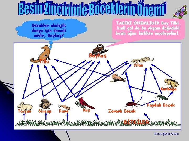 TABİKİ ÖNEMLİDİR Bay Tilki, hadi gel de bu akşam doğadaki besin ağını birlikte inceleyelim!.