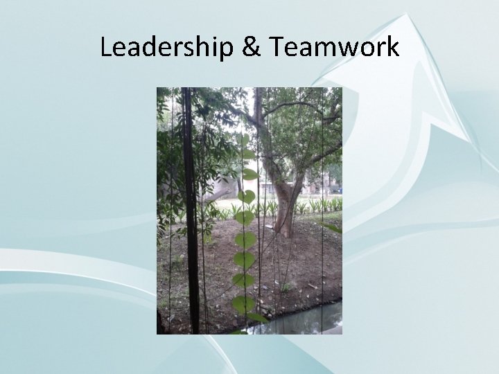 Leadership & Teamwork 