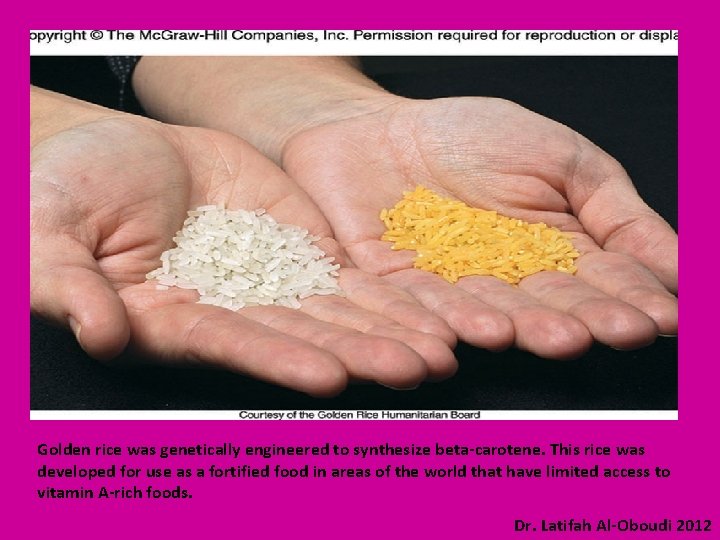 Golden rice was genetically engineered to synthesize beta-carotene. This rice was developed for use
