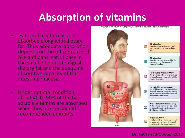 Absorption of vitamins • Fat-soluble vitamins are absorbed along with dietary fat. Thus adequate