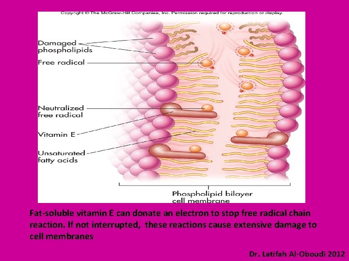 Fat-soluble vitamin E can donate an electron to stop free radical chain reaction. If