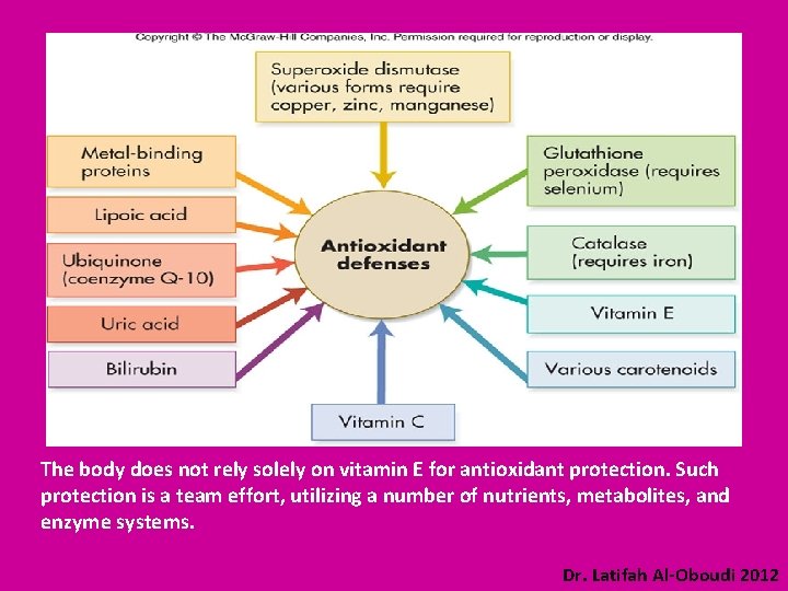 The body does not rely solely on vitamin E for antioxidant protection. Such protection