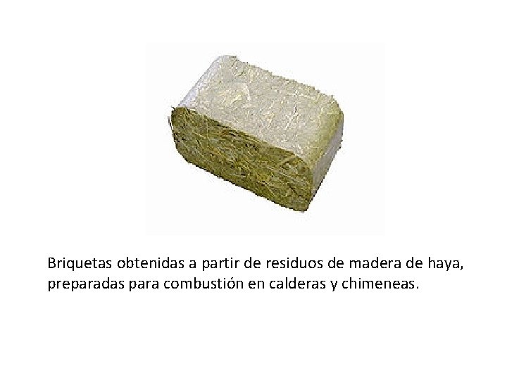 Briquetas obtenidas a partir de residuos de madera de haya, preparadas para combustión en