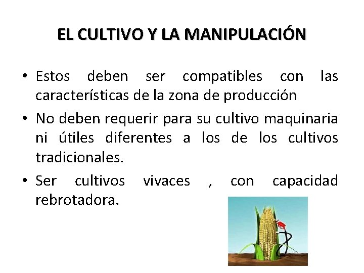 EL CULTIVO Y LA MANIPULACIÓN • Estos deben ser compatibles con las características de