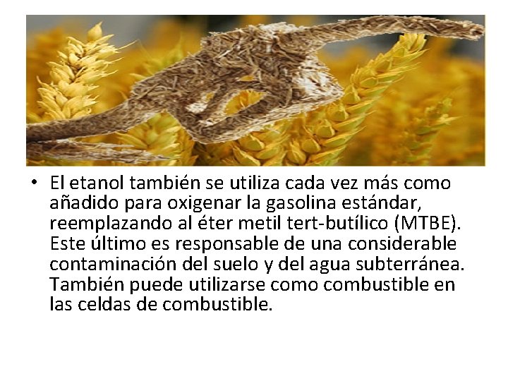  • El etanol también se utiliza cada vez más como añadido para oxigenar