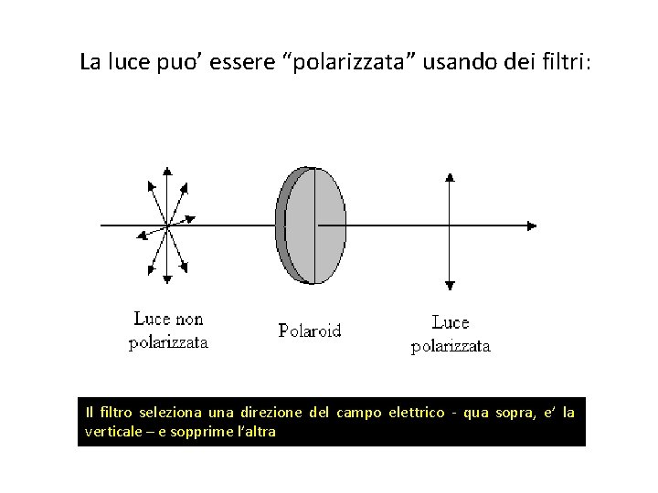 La luce puo’ essere “polarizzata” usando dei filtri: Il filtro seleziona una direzione del