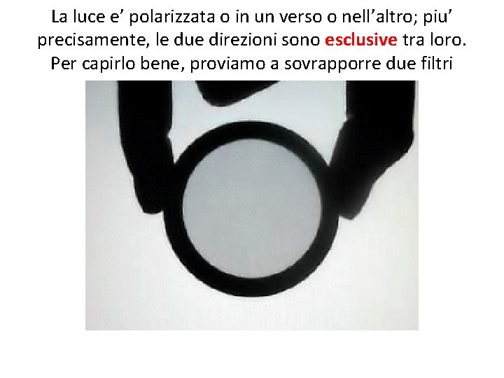 La luce e’ polarizzata o in un verso o nell’altro; piu’ precisamente, le due