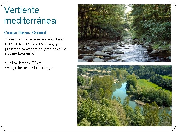 Vertiente mediterránea Cuenca Pirineo Oriental Pequeños ríos pirenaicos o nacidos en la Cordillera Costero